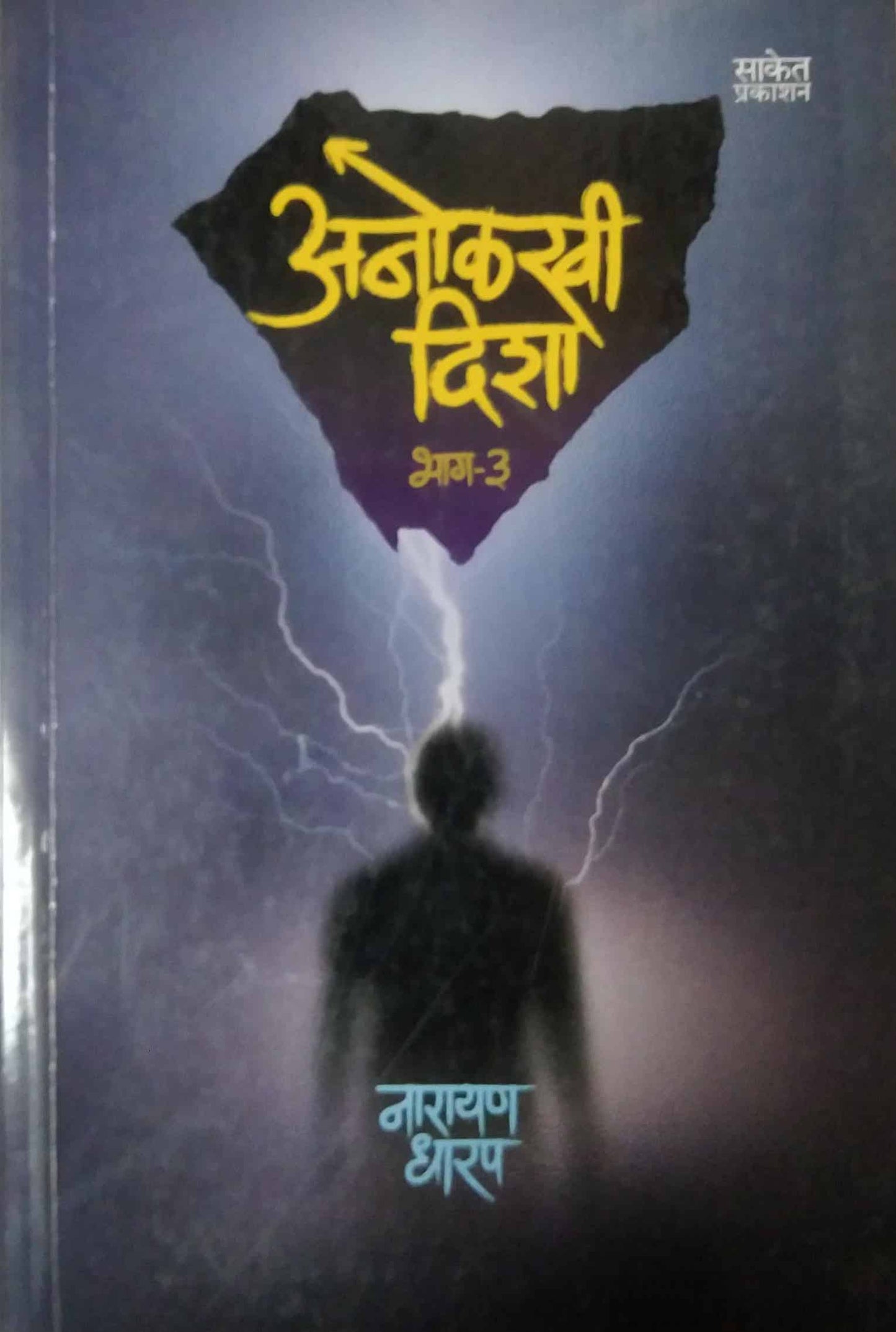 ANOLAKHI DISHA KHAND 3  by DHARAP NARAYAN