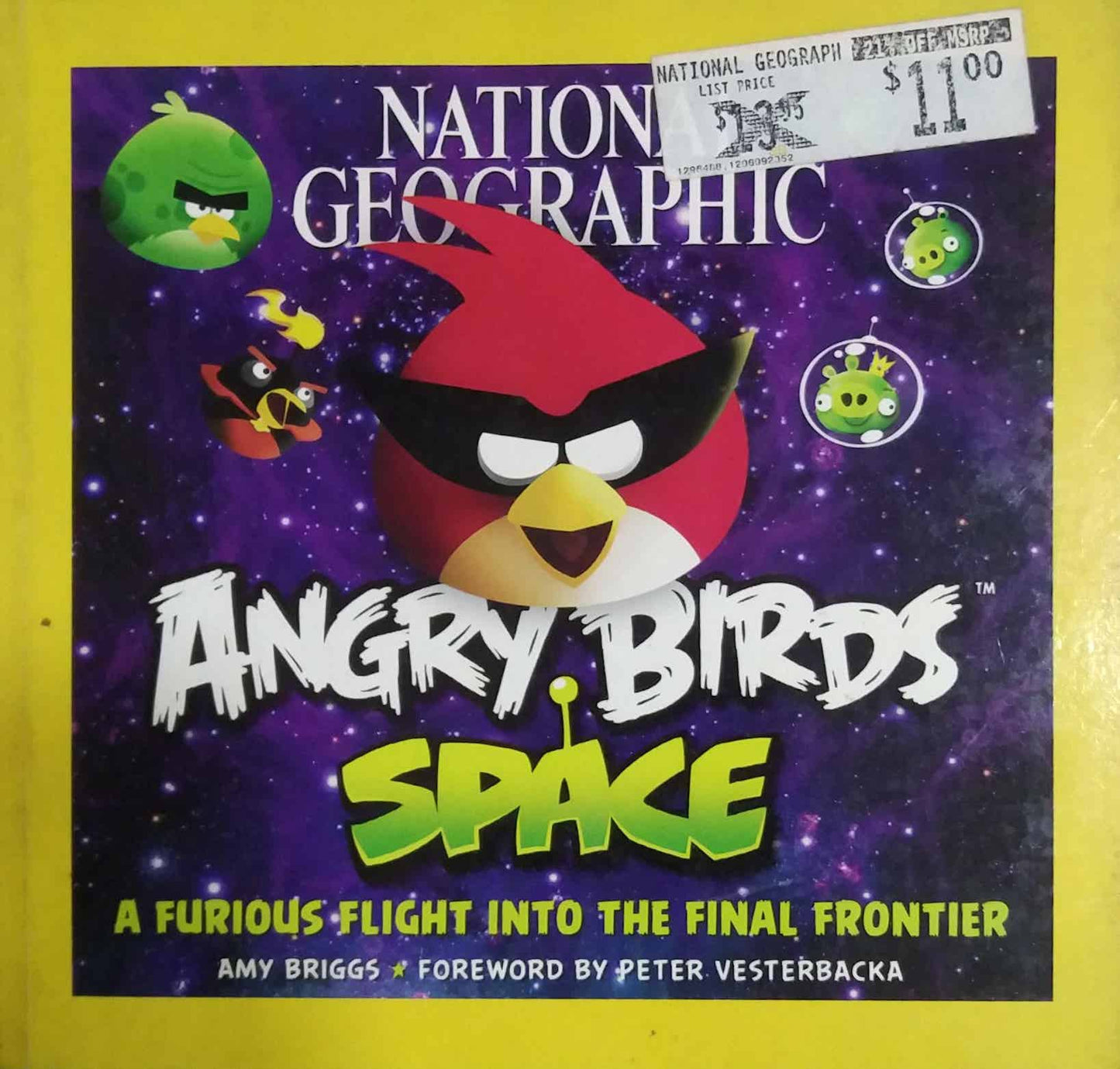 ANGRY BIRDS SPACE by BRIGGS AMY