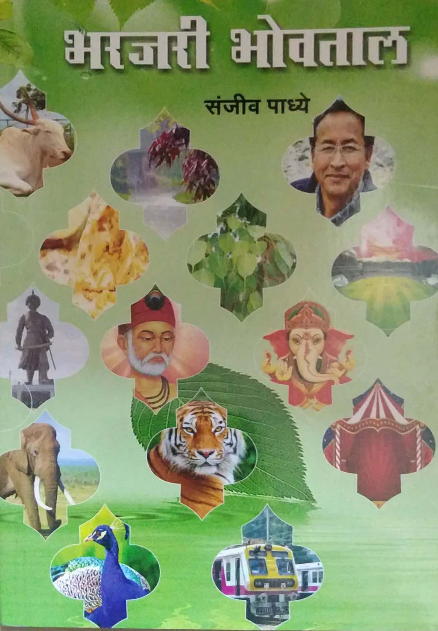 Bharajari Bhovatal by PADHYE SANJIV