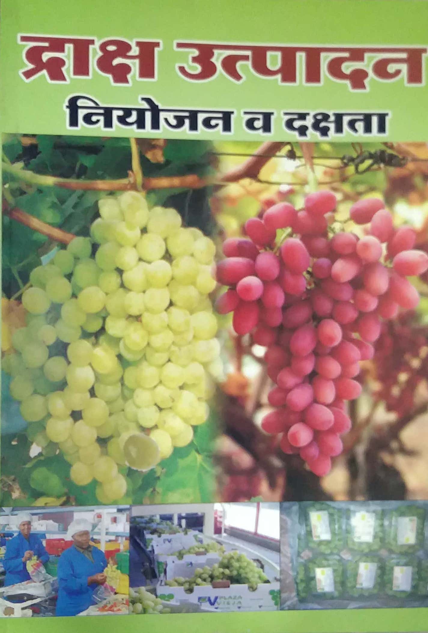 DRAKSH UTPADAN NIYOJAN V DAKSHATA by RAMATEKE S.D