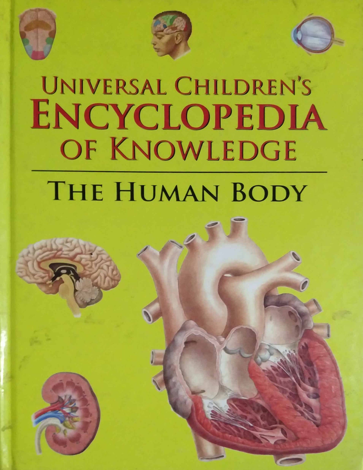 ENCYCLOPEDIA OF KNOWLEDGE THE HUMAN BODY by SAMPADIT