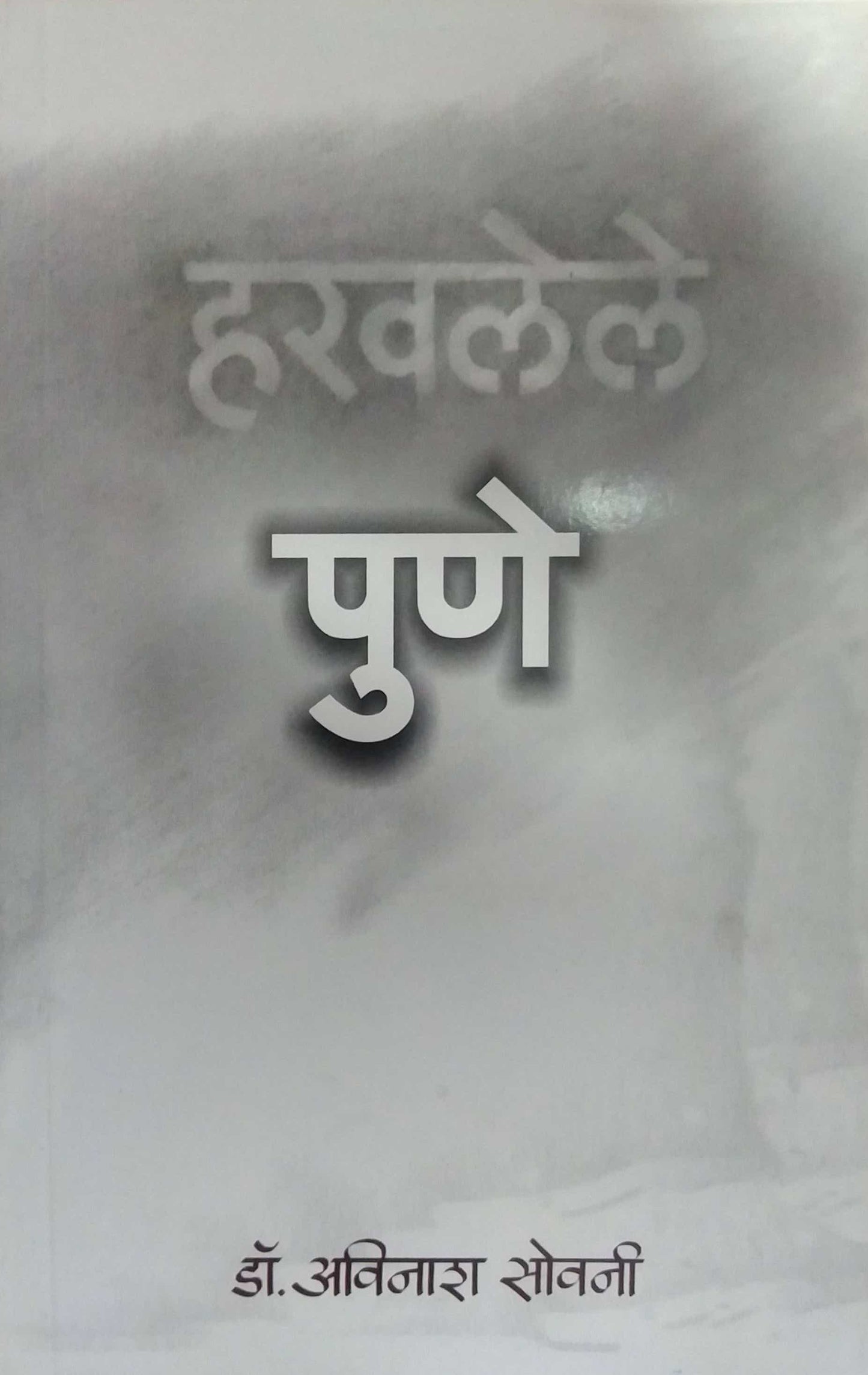 HARAVALELE PUNE by SOVANI AVINASH
