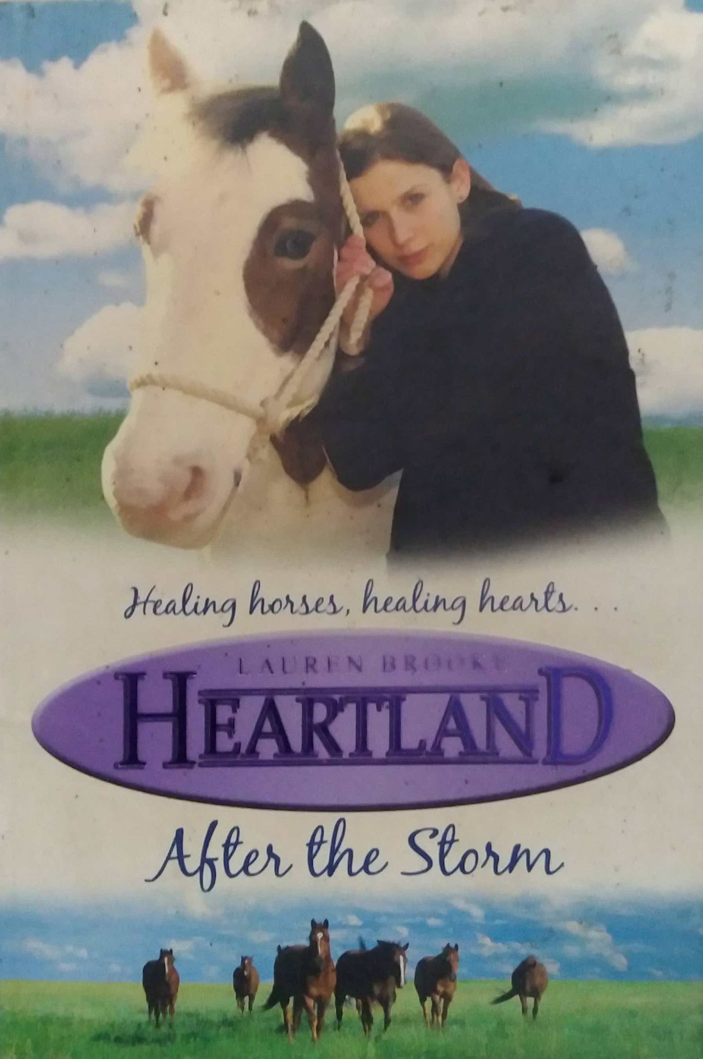 AFTER THE STORM  by LAWREN BROOKS