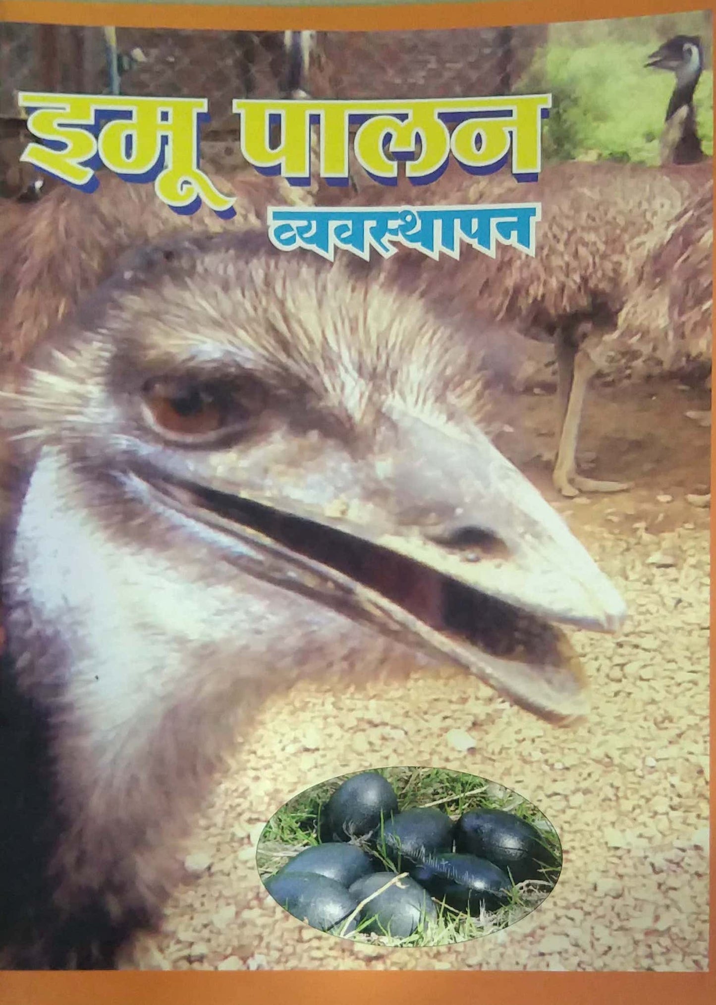 IMU PALAN VYAVASTHAPAN by PATIL RAJU