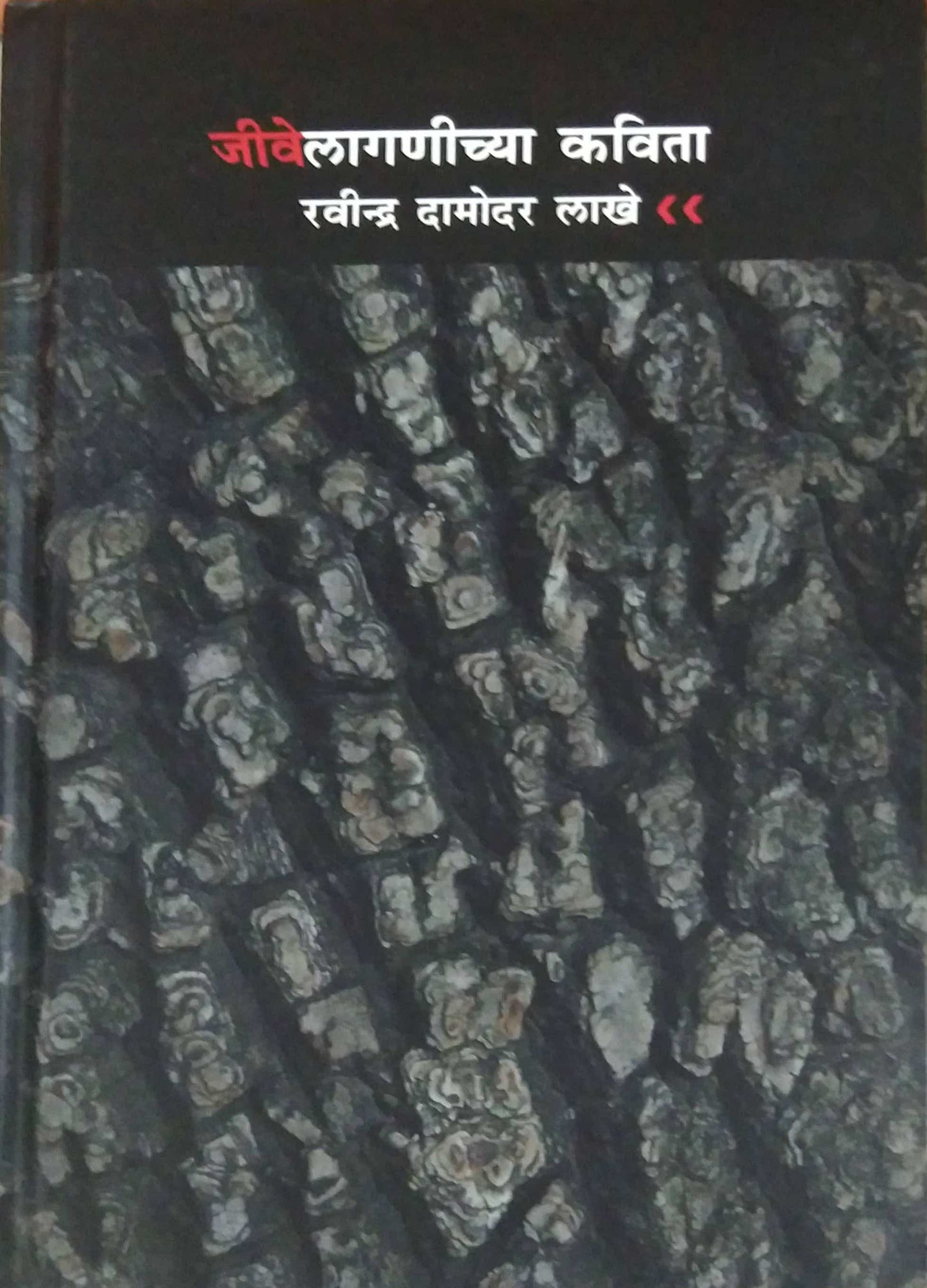Jivelaganichya Kavita by Jivelaganichya Kavita