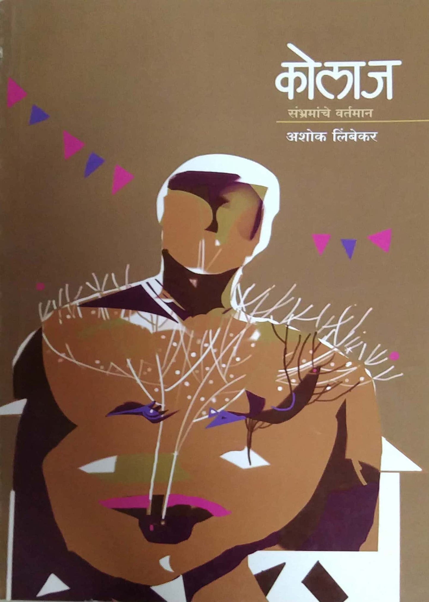 Kolaj Sambhramache Vartaman by LIMBEKAR ASHOK