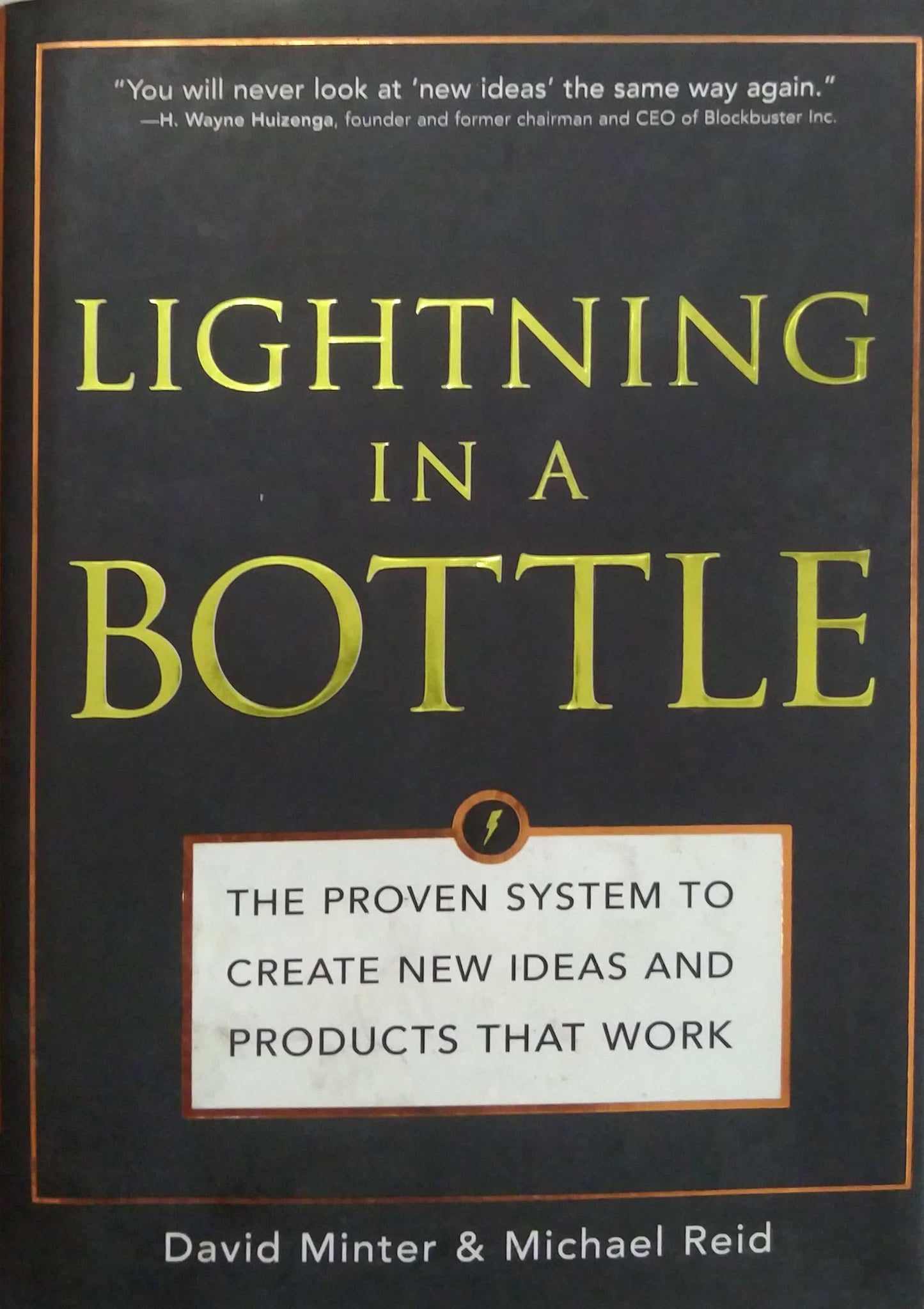 LIIGHTNING IN A BOTTLE by David Minter & Michael Reid