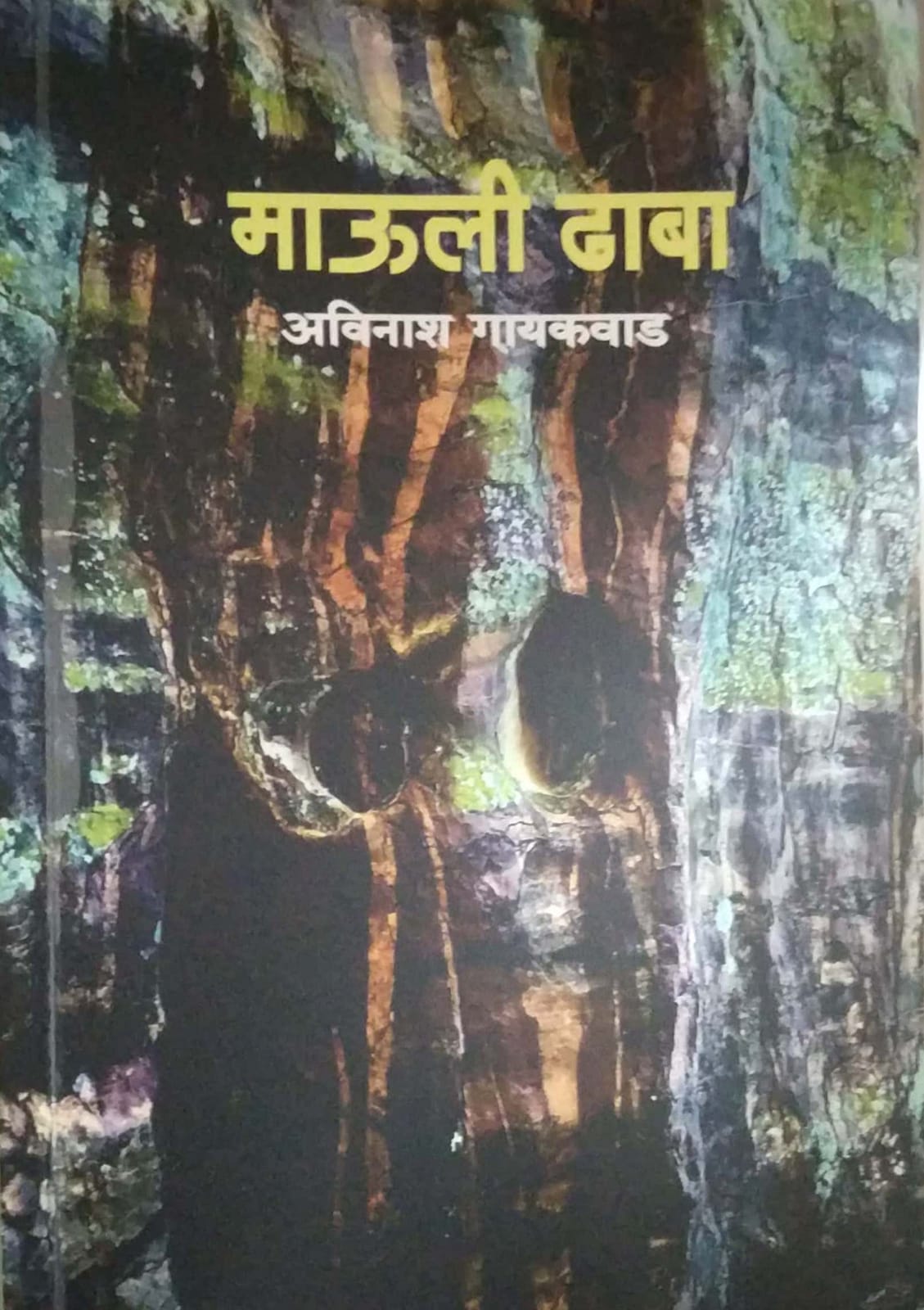 Mauli Dhaba by gayakawad avinash