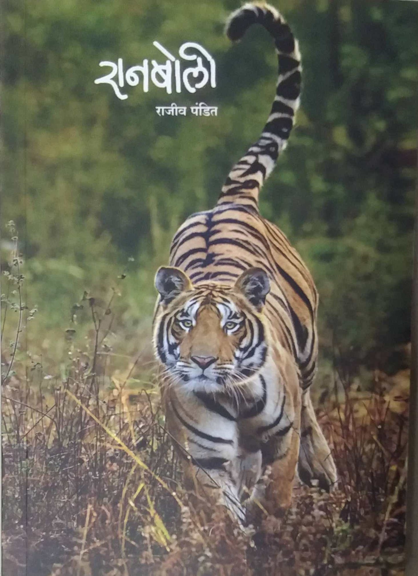 Ranaboli by Pandit Rajiv
