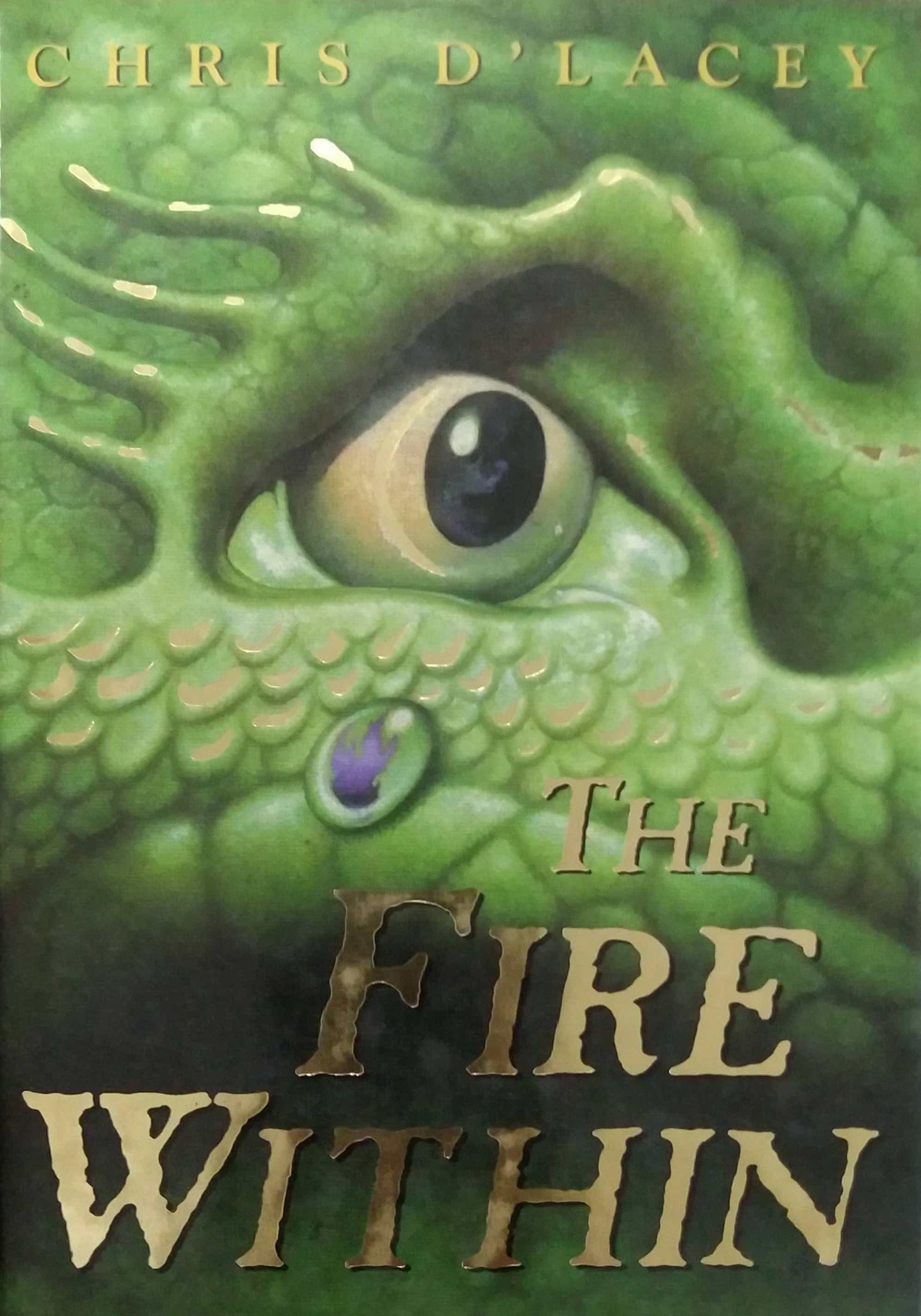 THE FIRE WITHIIN by Chris D'Lacey