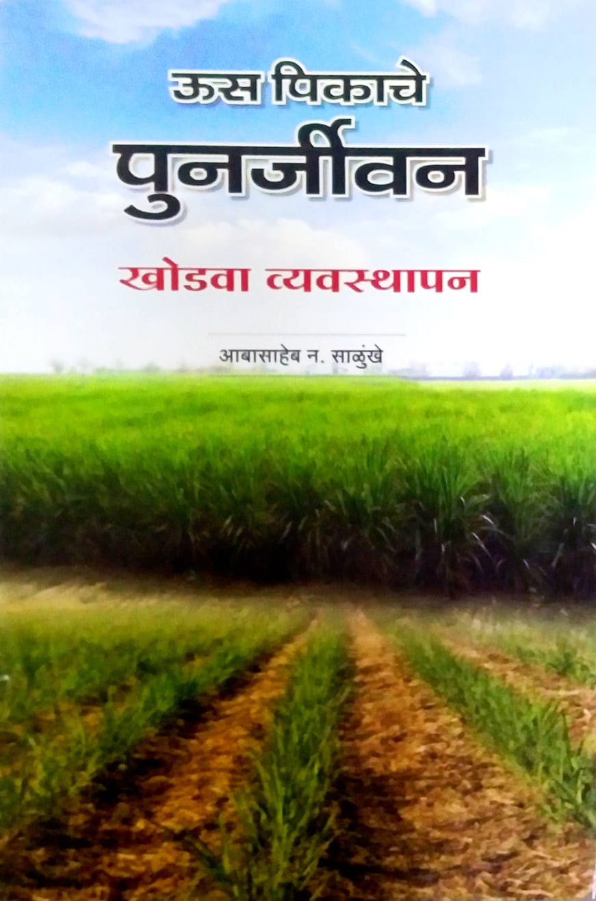 Us Pikache Punarjivan Khodava Vyavasthapan by Salunkhe Abasaheb