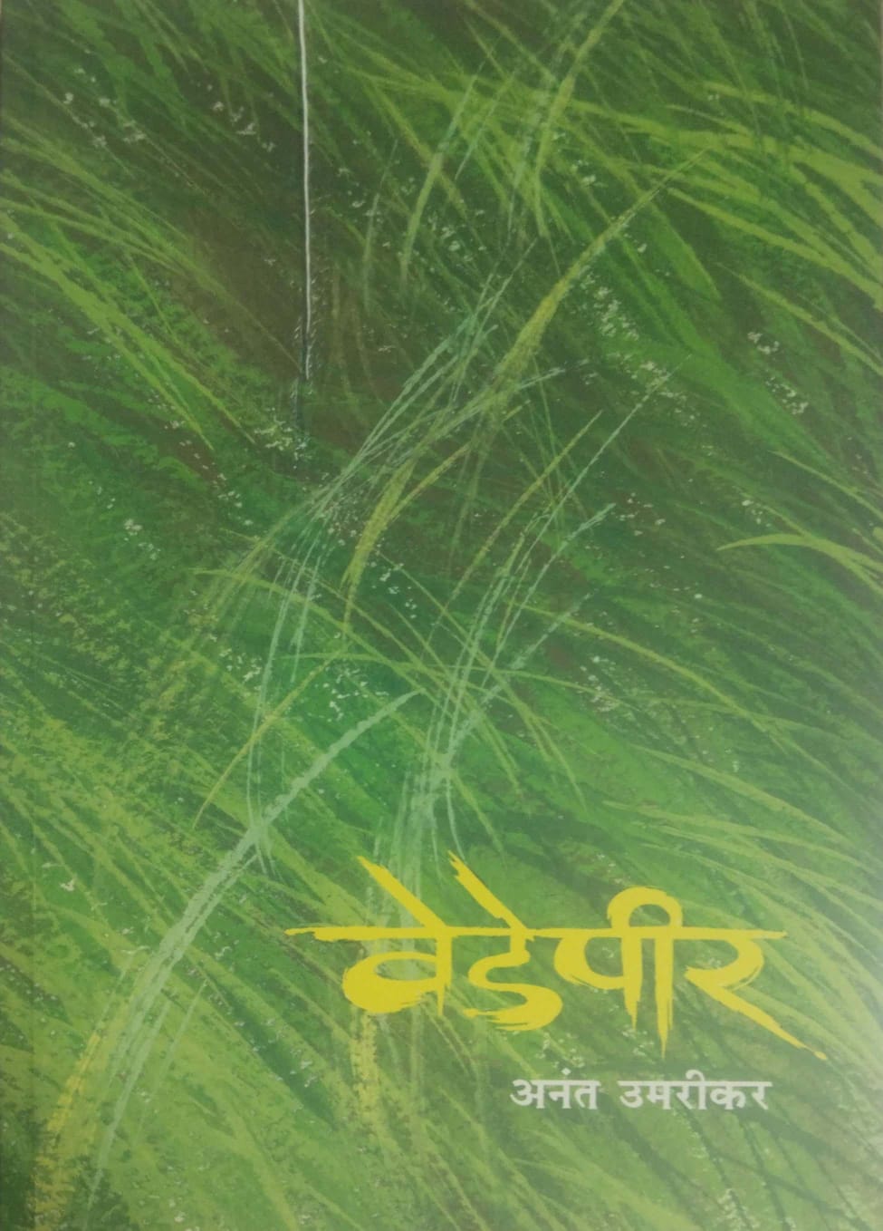 VEDEPIR by UMARIKAR ANANT