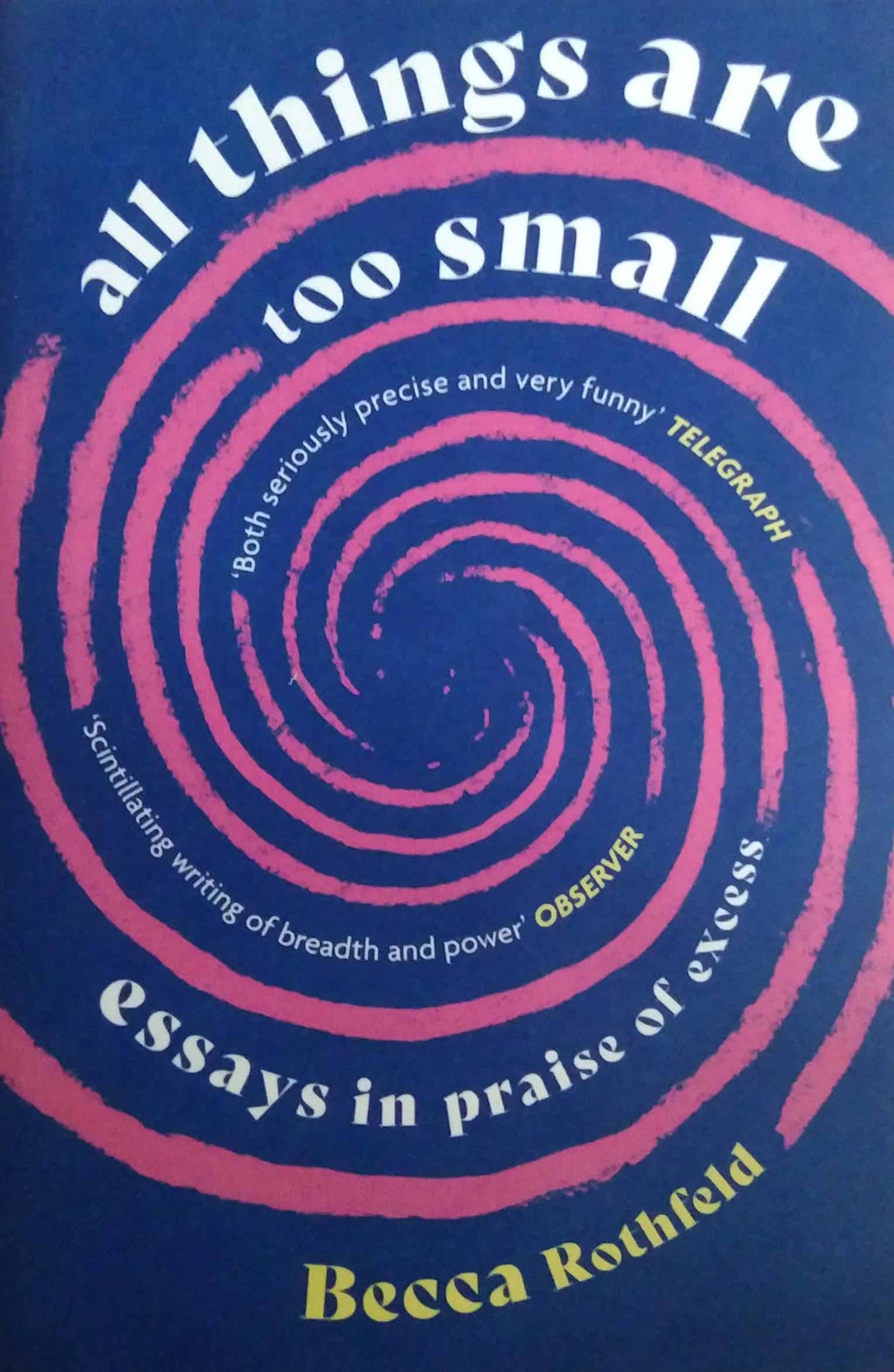 All Things Are Too Small: Essays in Praise of Excess by Becca Rothfeld