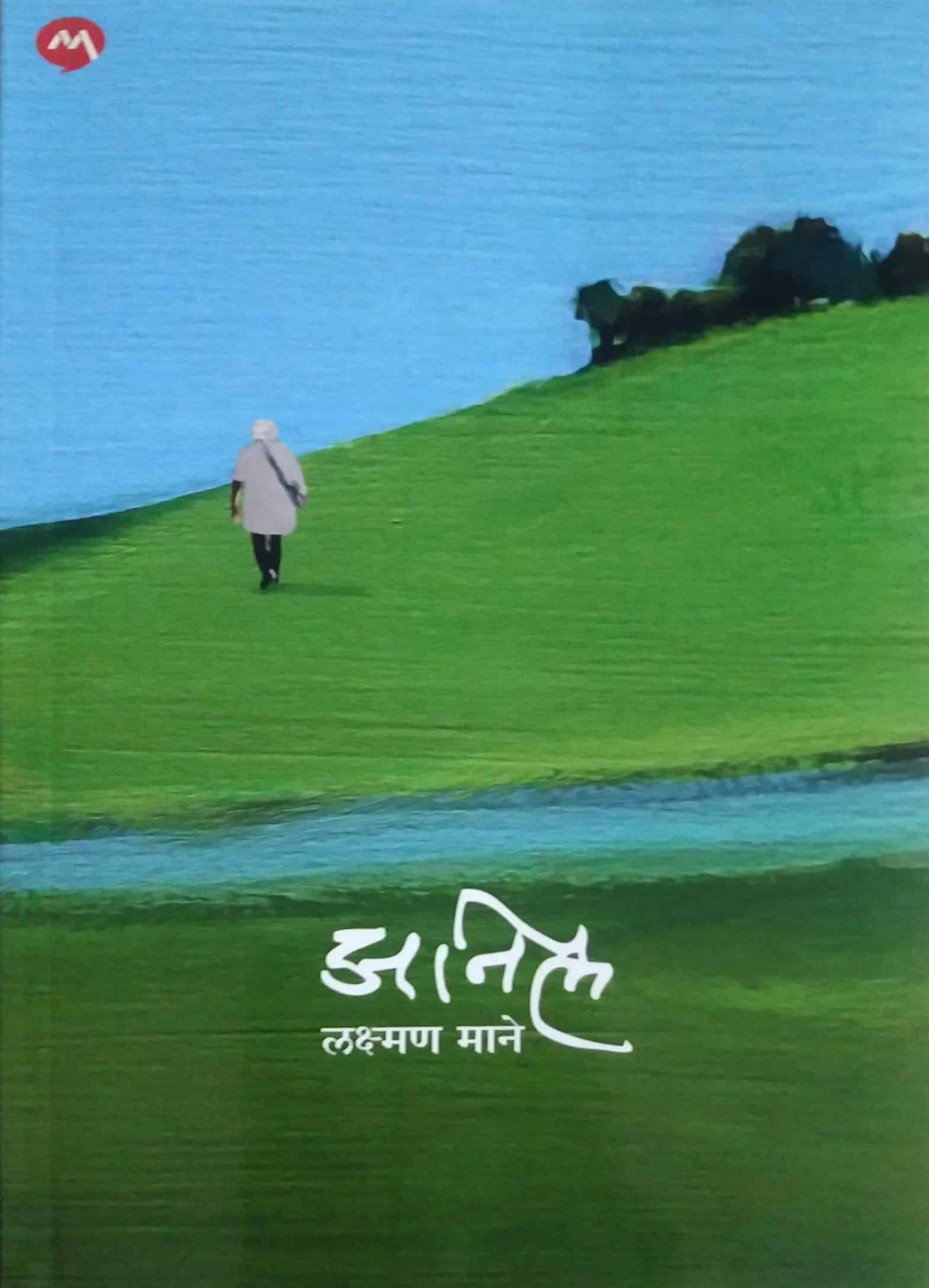 anil by MAHAMANE LAKSHMAN