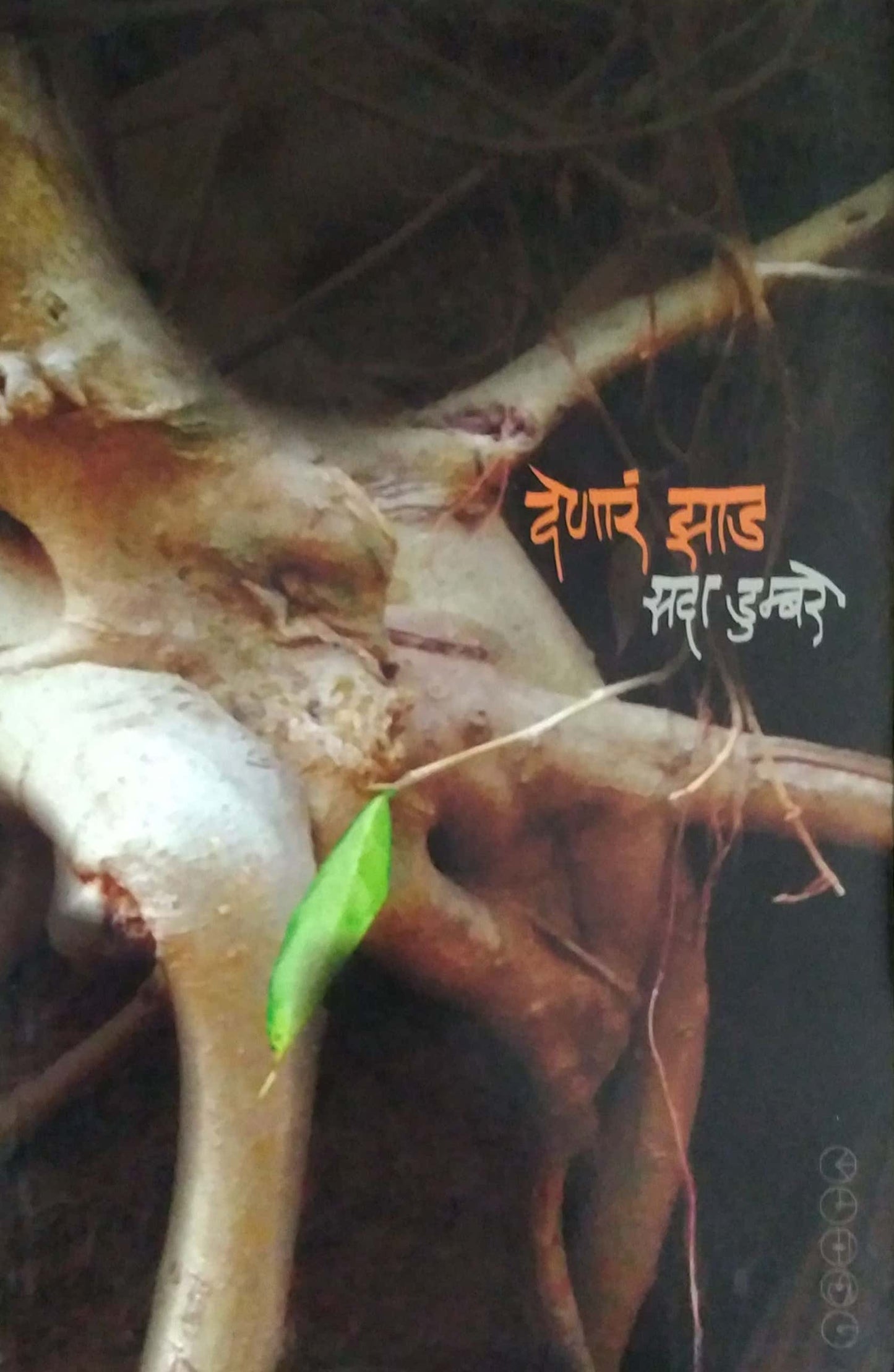 DENAR ZAD by DUMBARE SADA