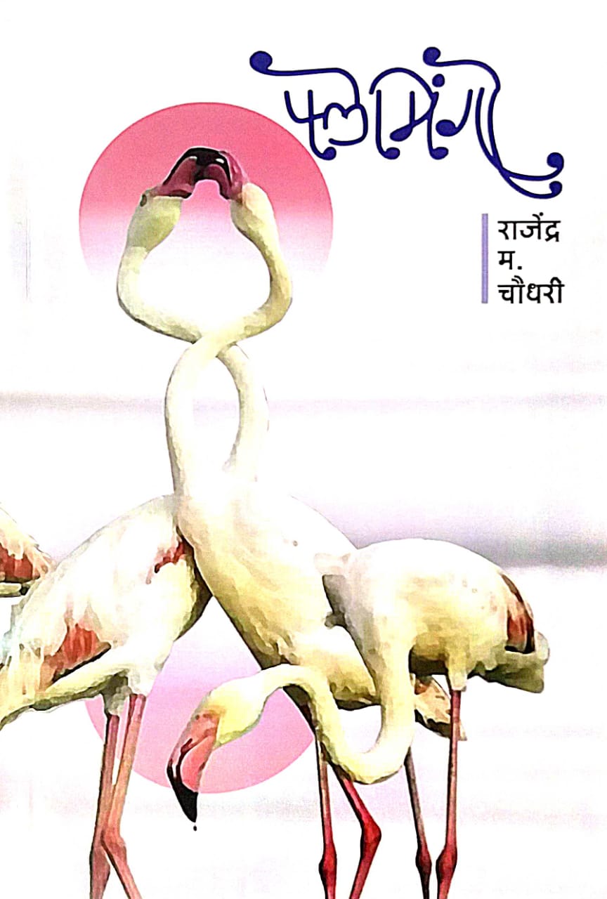 Flemingo by chaudhari rajendra