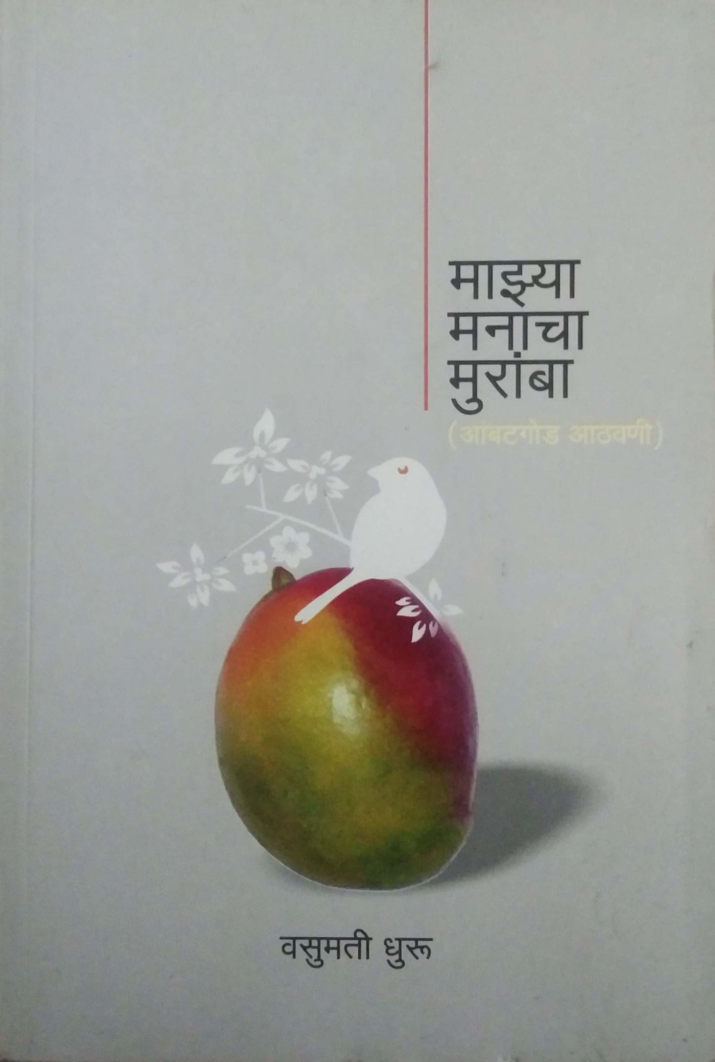 MAZYA MANACHA MURAMBA by DHARU VASUMATI