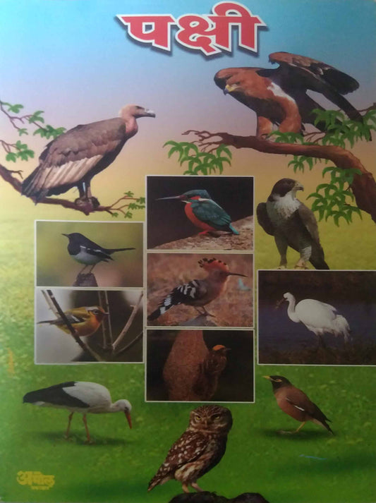 PAKSHI PRAKALP by TALAVALAKAR