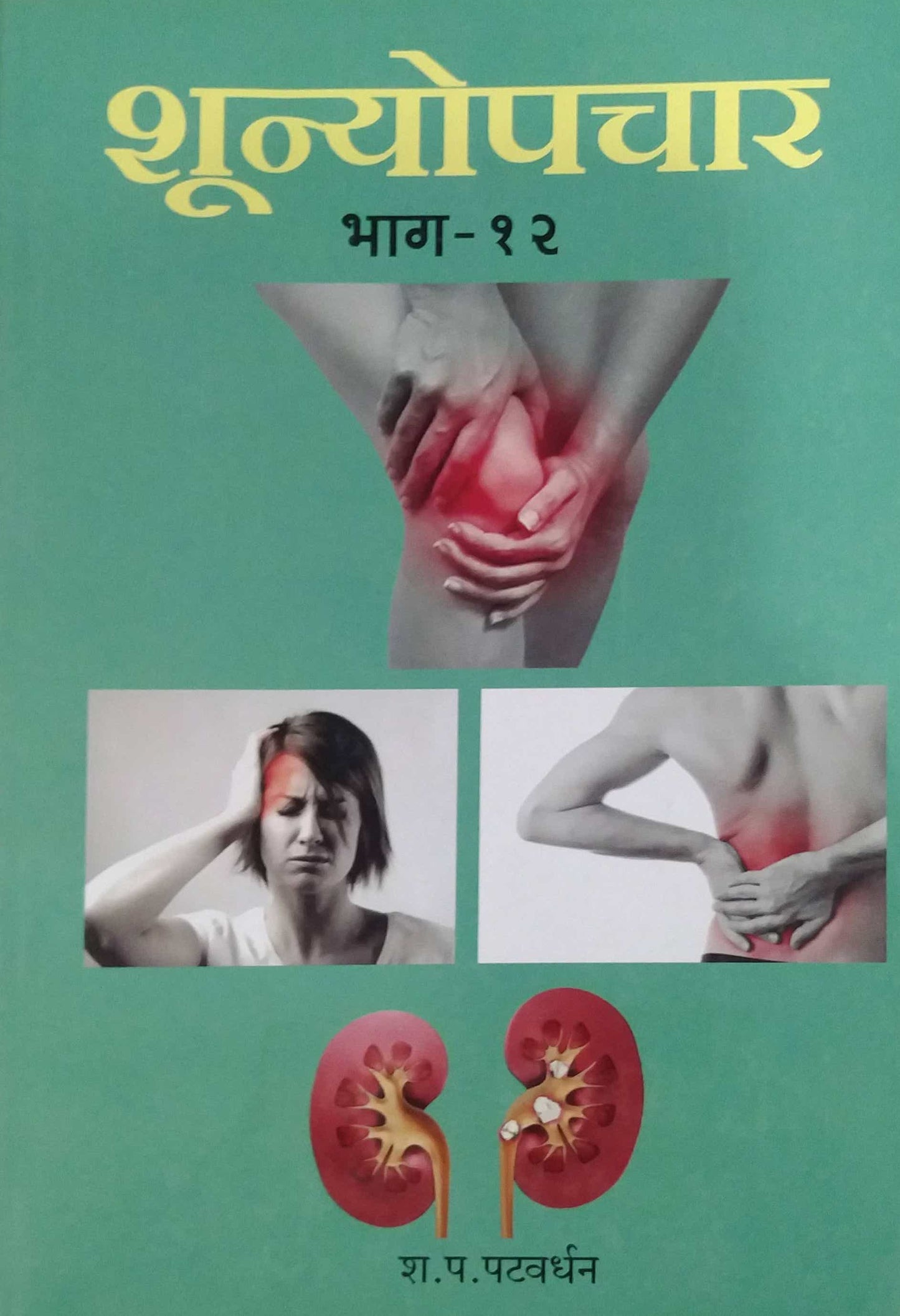 SHUNYOPACHAR BHAG 12 by PATAVARDHAN SHA.PA.