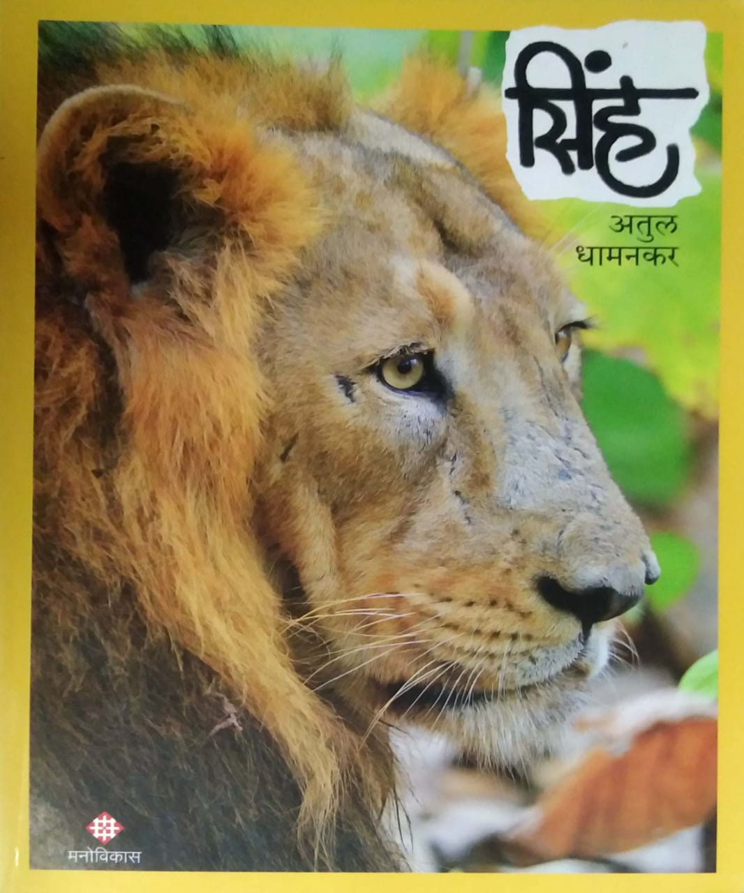 SINH by DHAMANAKAR ATUL