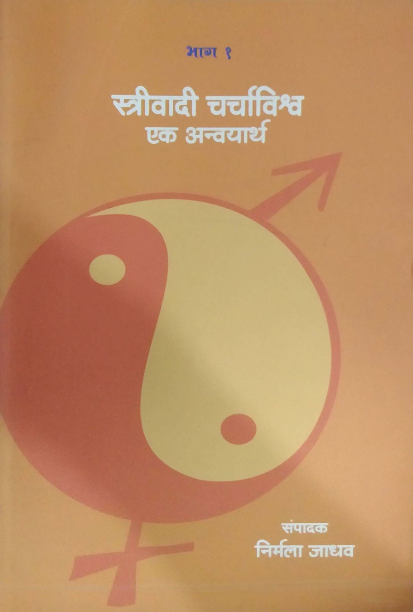 STRIVADI CHARCHAVISHWA EK ANVAYARTHA by JADHAV NIRMALA