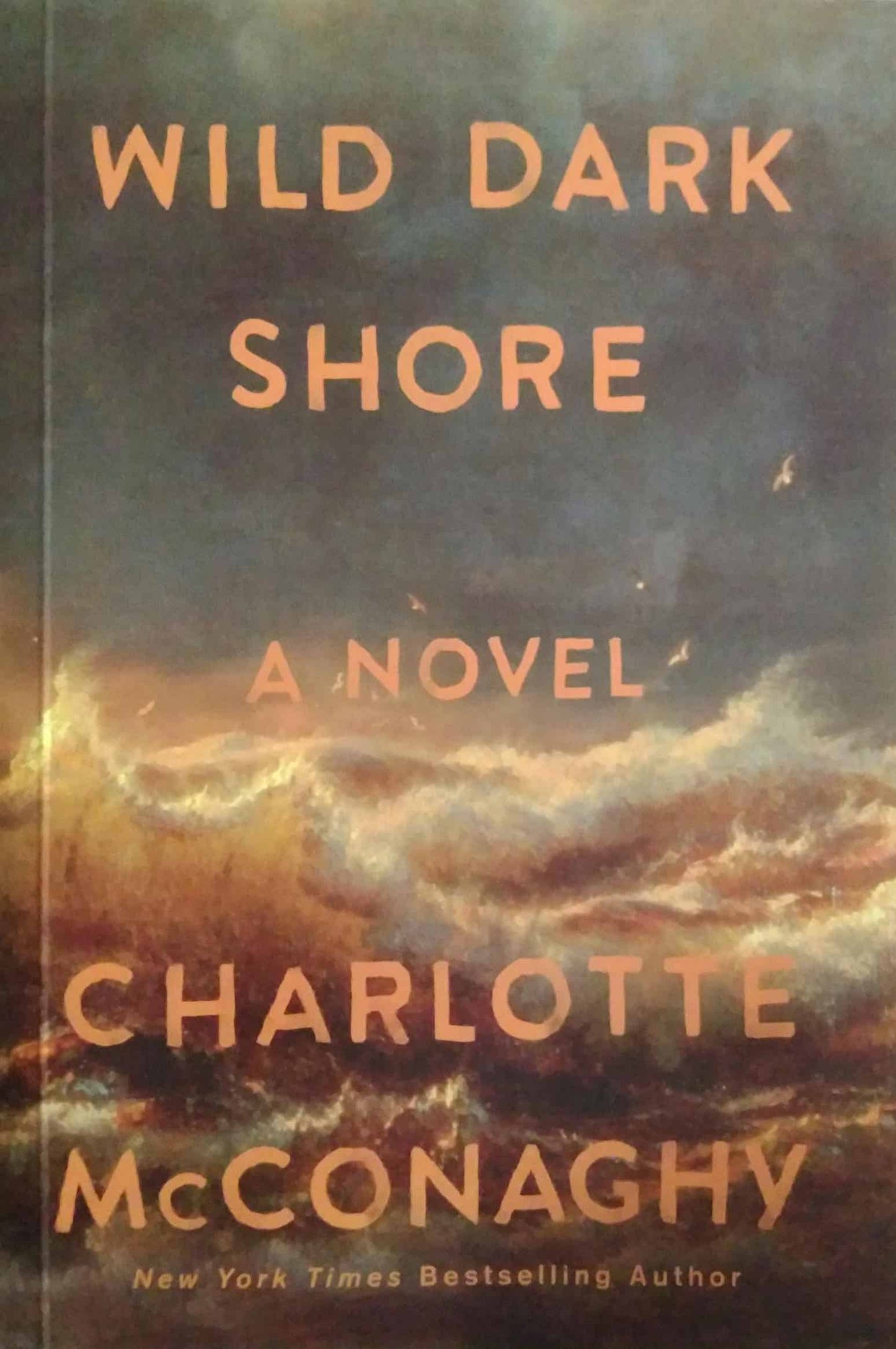 Wild dark shore a novel by MCCONAGHY CHARLOTTE
