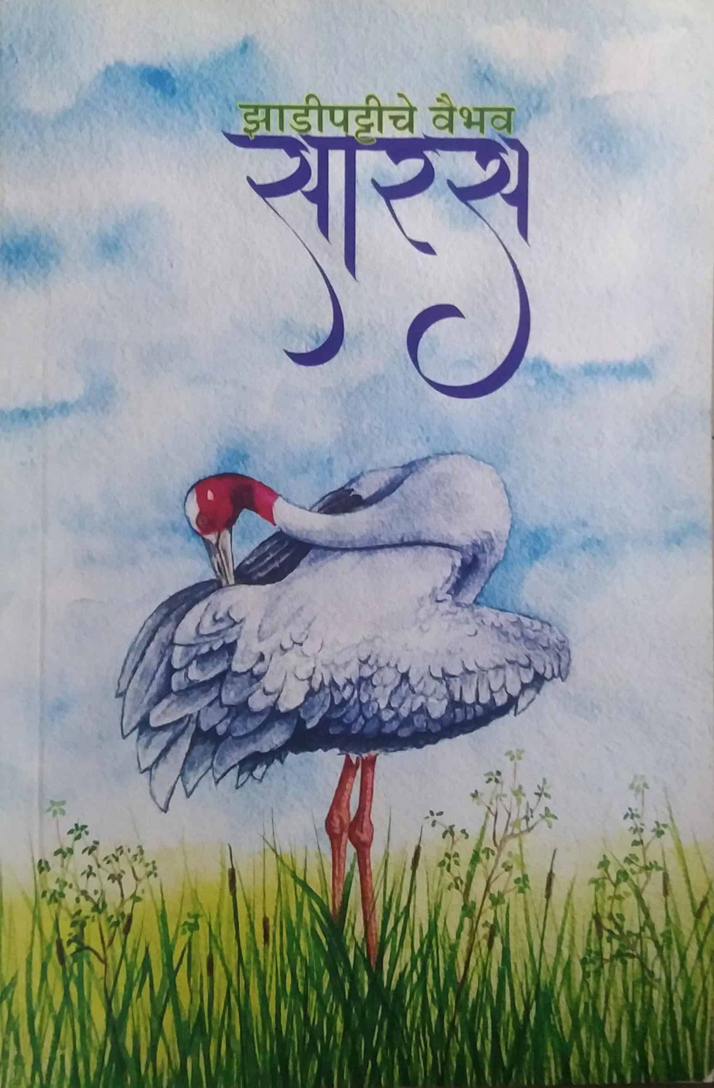 Zadipattiche Vaibhav Saras by DHURVE MUKUND