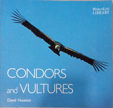 Condors And Vultures By Houston David