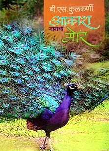 Akash Navacha Mor By Kulkarni B S
