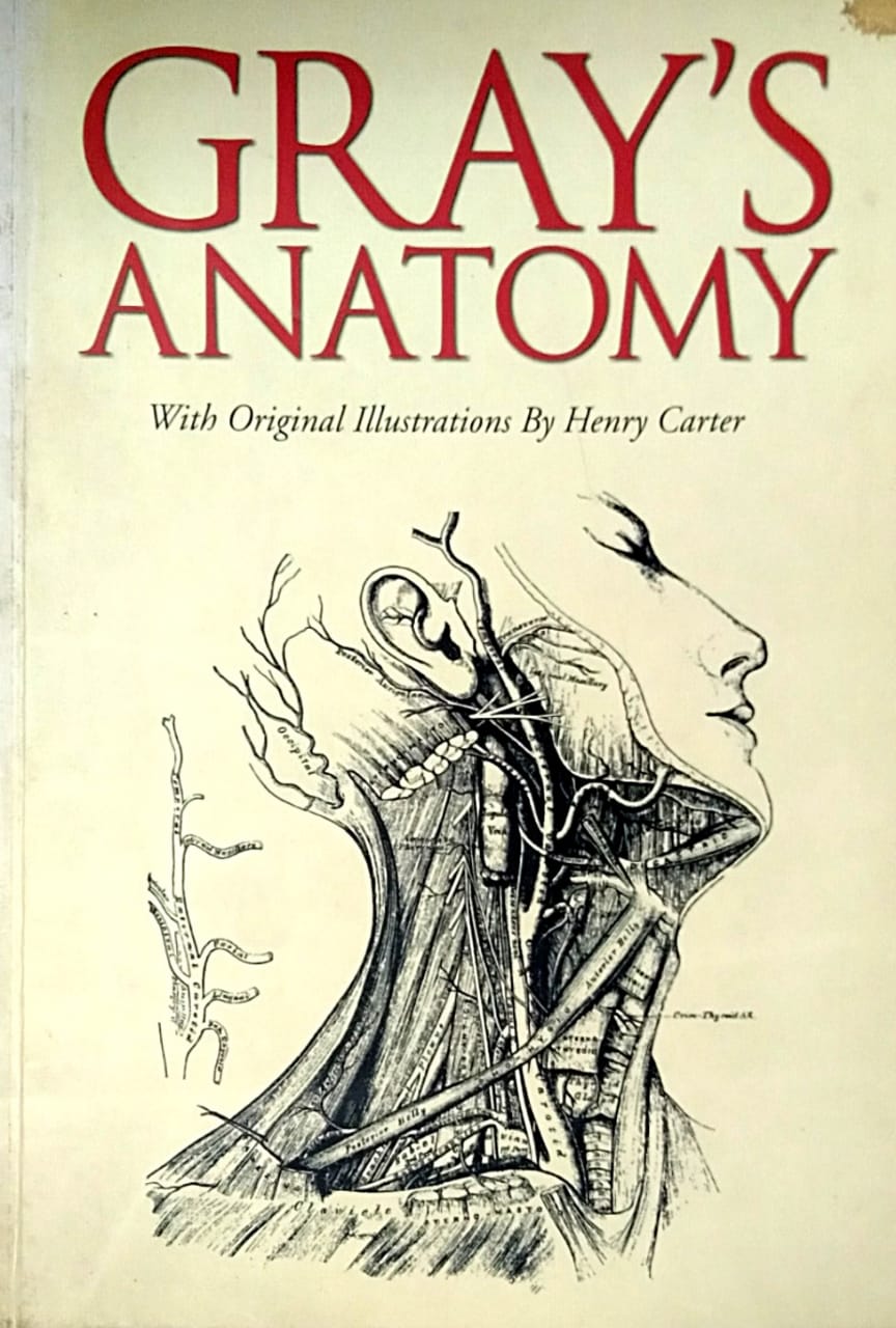 GRAYS ANATOMY By N/A