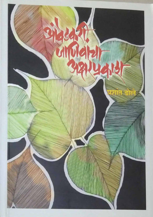 Ambedakari janivancha aksharprakash by dhole prashant