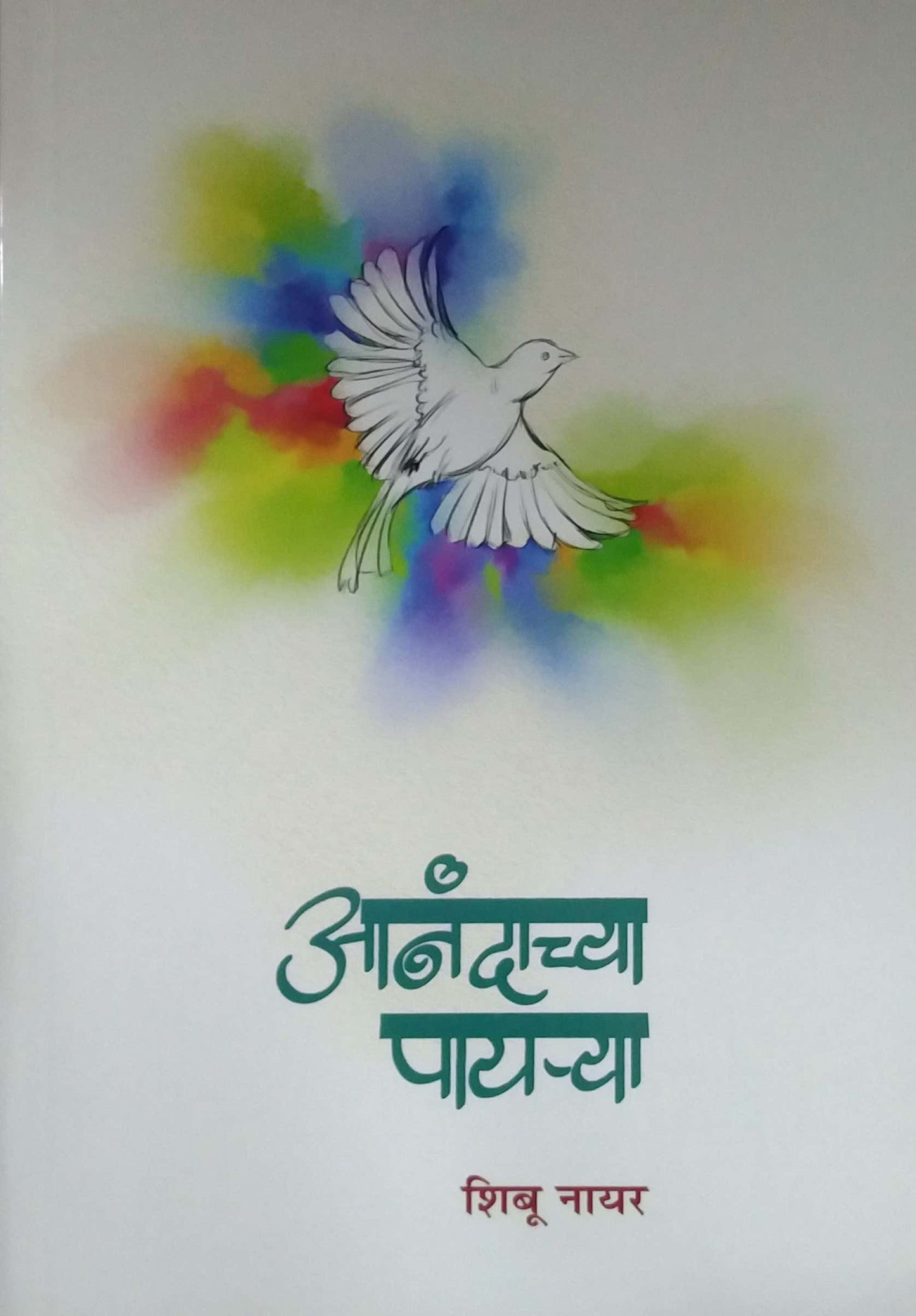 Anandachya Payarya by Shibu Nayar