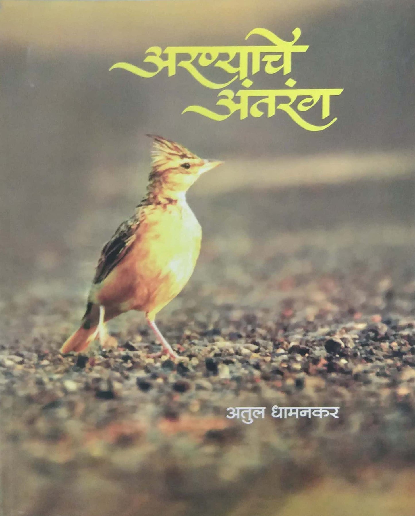 ARANYACHE ANTARANG  by DHAMANAKAR ATUL