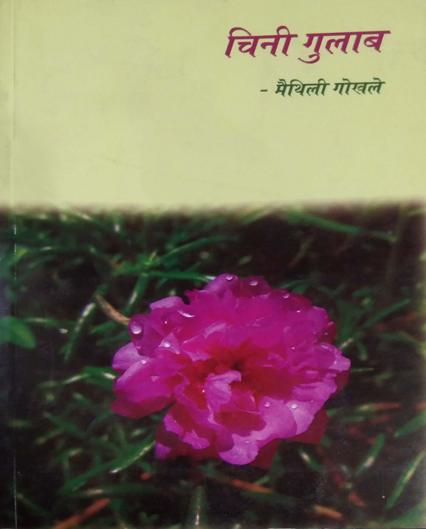 Chini Gulab    By Naik Sanjay