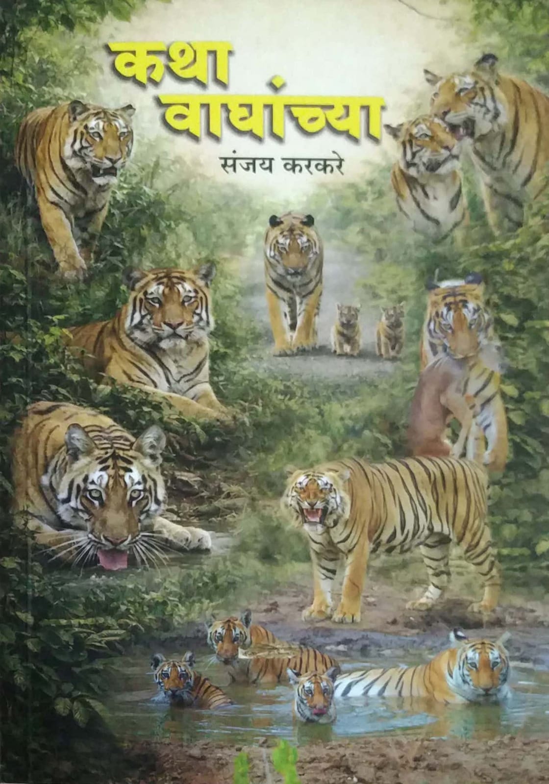 Katha Vaghanchya  by Karakare Sanjay