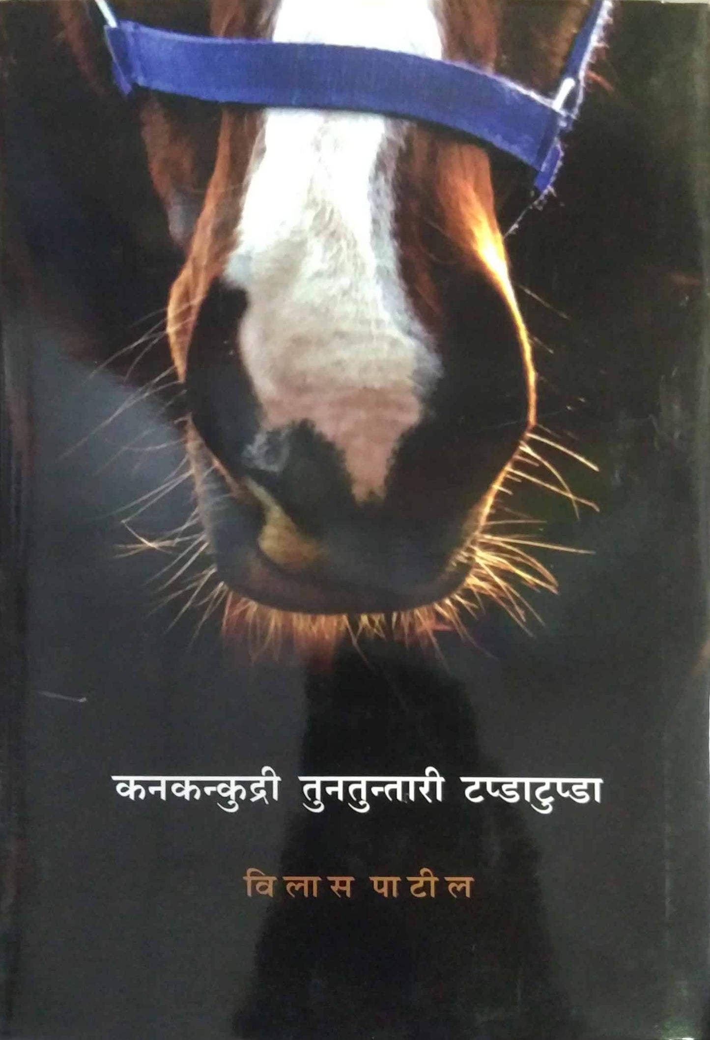 Kanakakundri Tunatuntari Tapdatupda by PATIL VILAS
