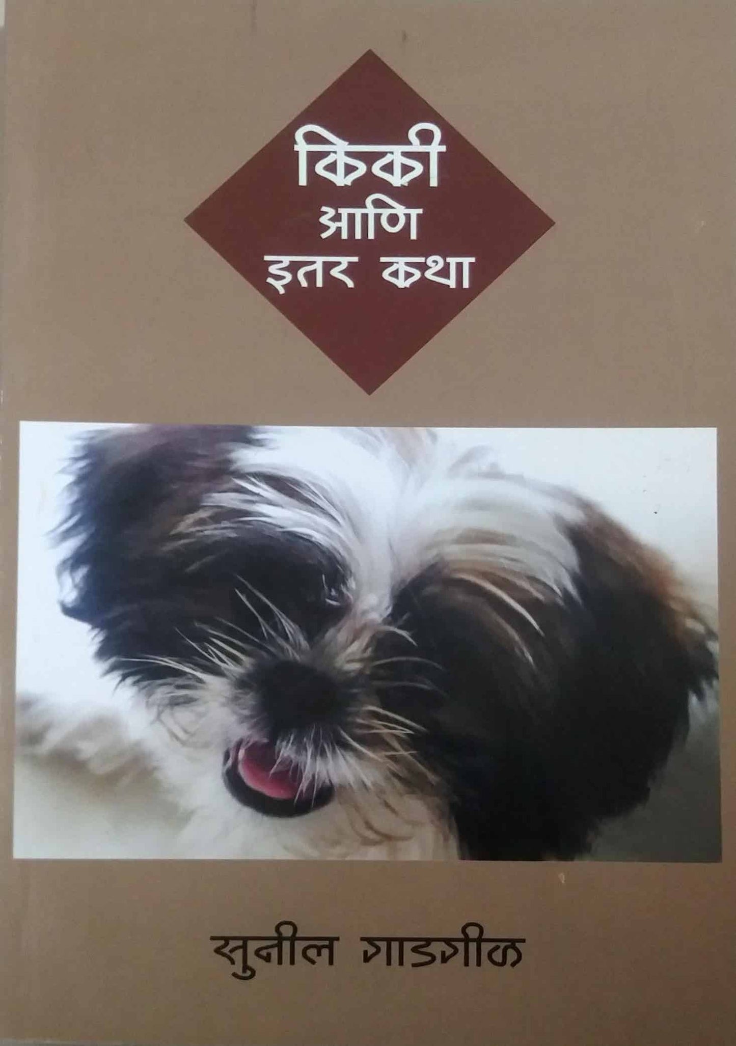 Kiki Ani Itar Katha by GADAGIL SUNIL