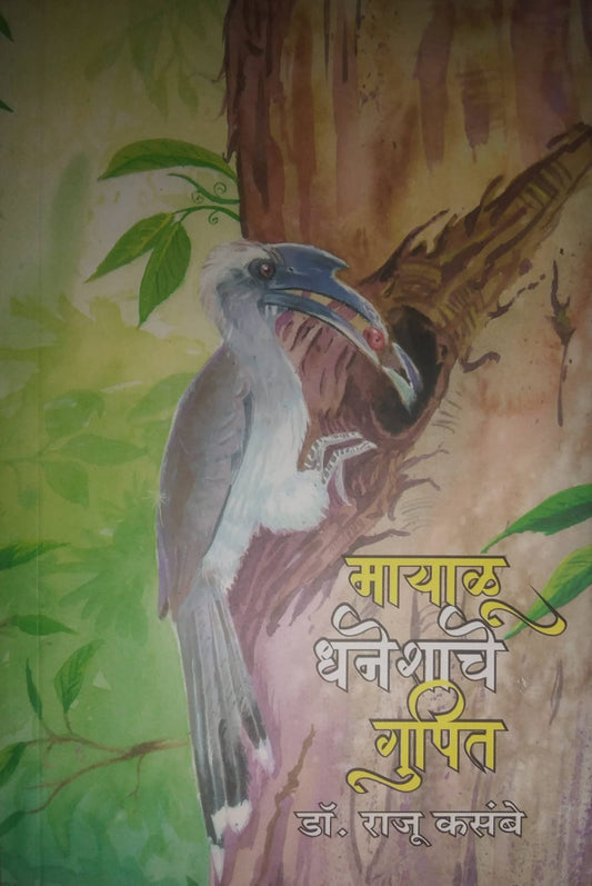 MAYALU DHANESHACHE GUPIT  by KASAMBE RAJU