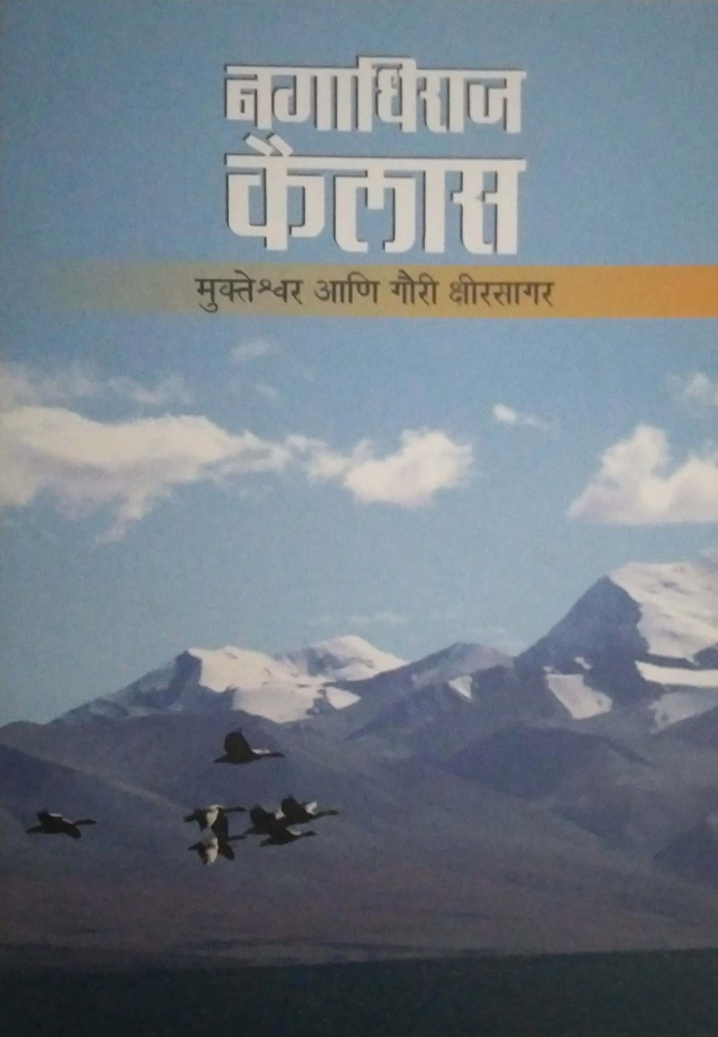 Nagadhiraj Kailas by KSHIRASAGAR GAURI