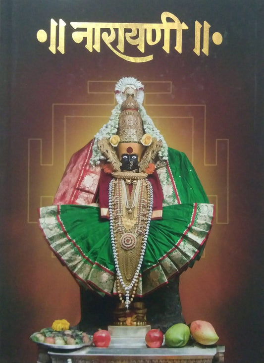 Narayani by Dikshit Kishor Raghunath