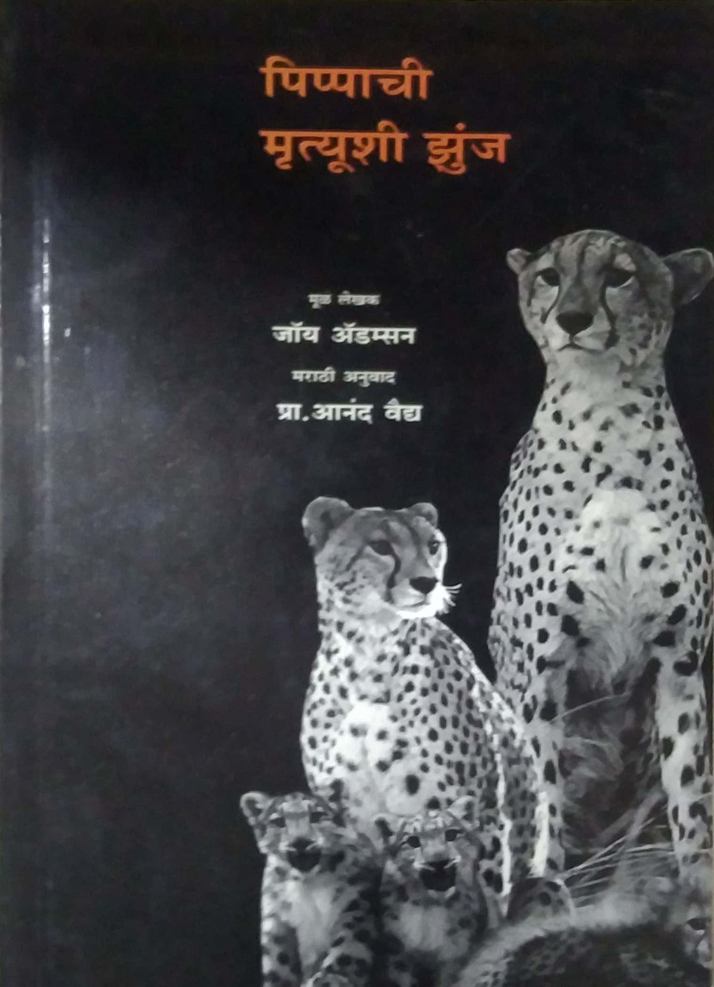 PIPPACHI MRUTYUSHI ZUNJ  by VAIDY ANAND