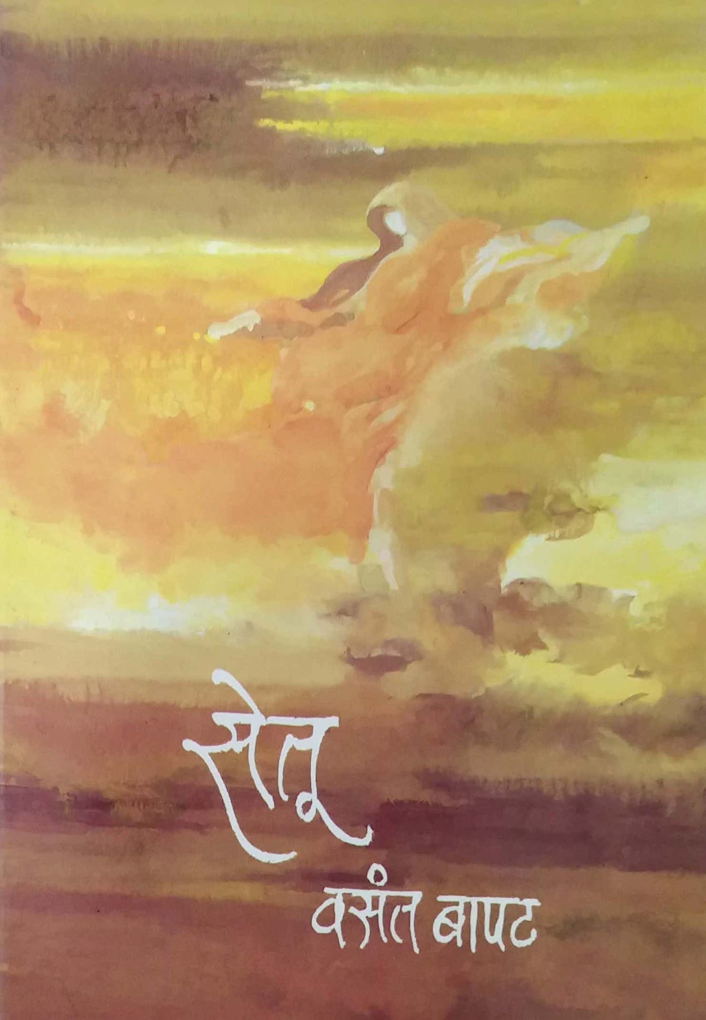 SETU  by BAPAT VASANT