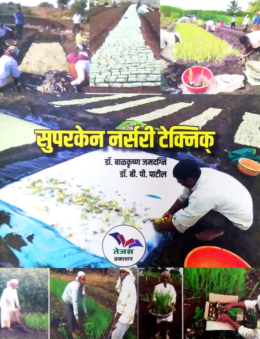 Superacane Nursary Technique by JAMADAGNI BALAKRUSHN MAHADEV,Patil B P