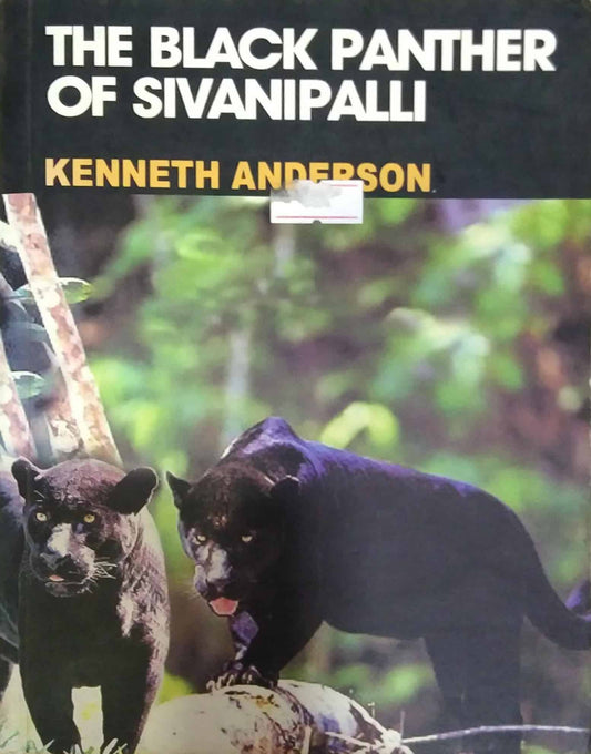 THE BLACK PANTHER OF SIVANIPALLI  by KENNETH ANDERSAN
