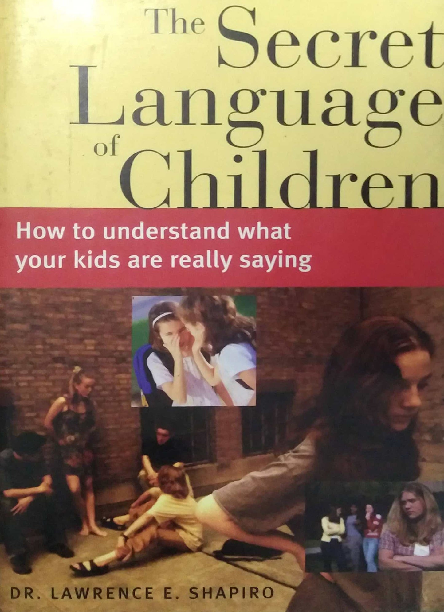 THE SECRET LANGAUGE OF CHILDREN  by Dr Lawrence Shapiro