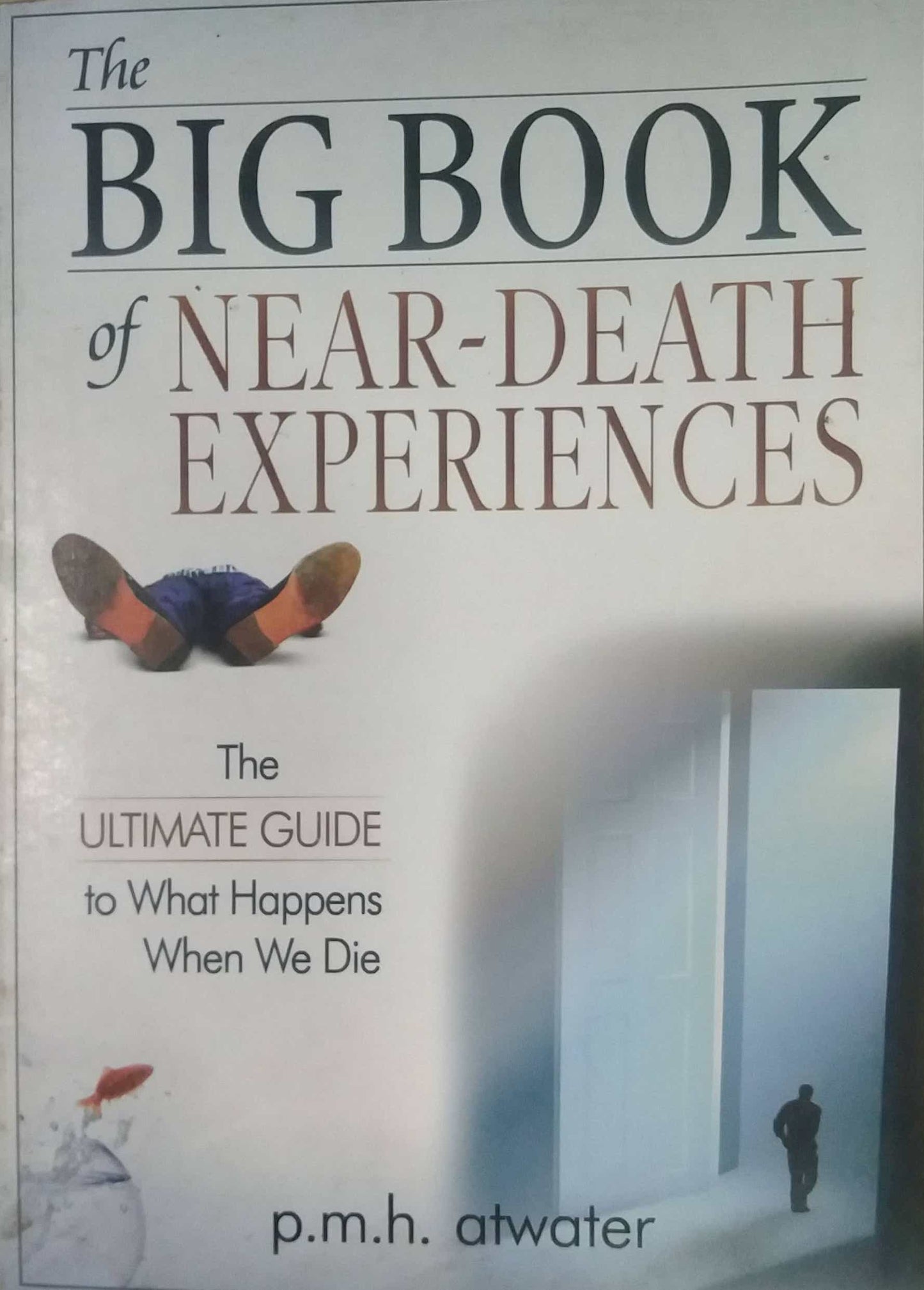 THE BIG BOOK OF NEAR DEATH EXPERIENCES  by ATWAR P M H