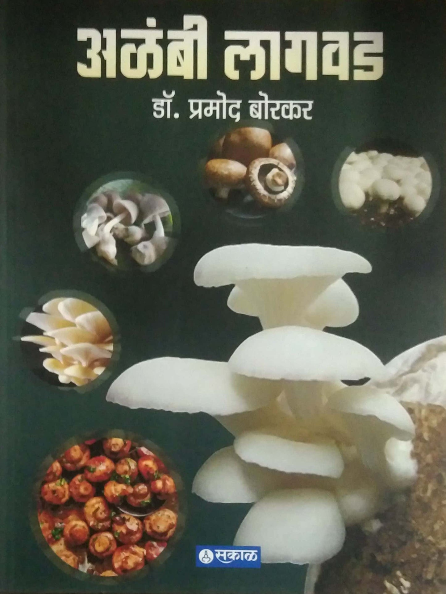 Alambi Lagavad by BORAKAR PRAMOD