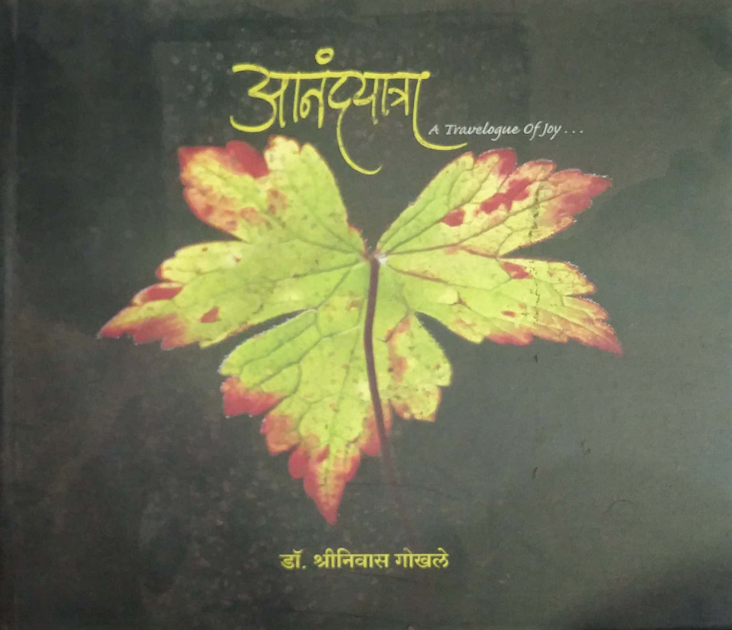 Anandayatra A Travelogue of joy by Gokhale Shrinivas
