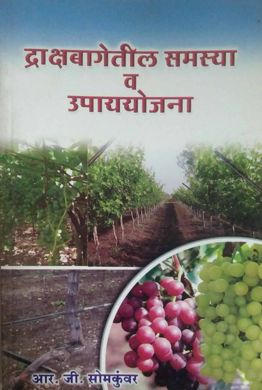 DRAKSHABAGETIL SAMASYA UPAY V YOJANA  by SOMAKUVAR