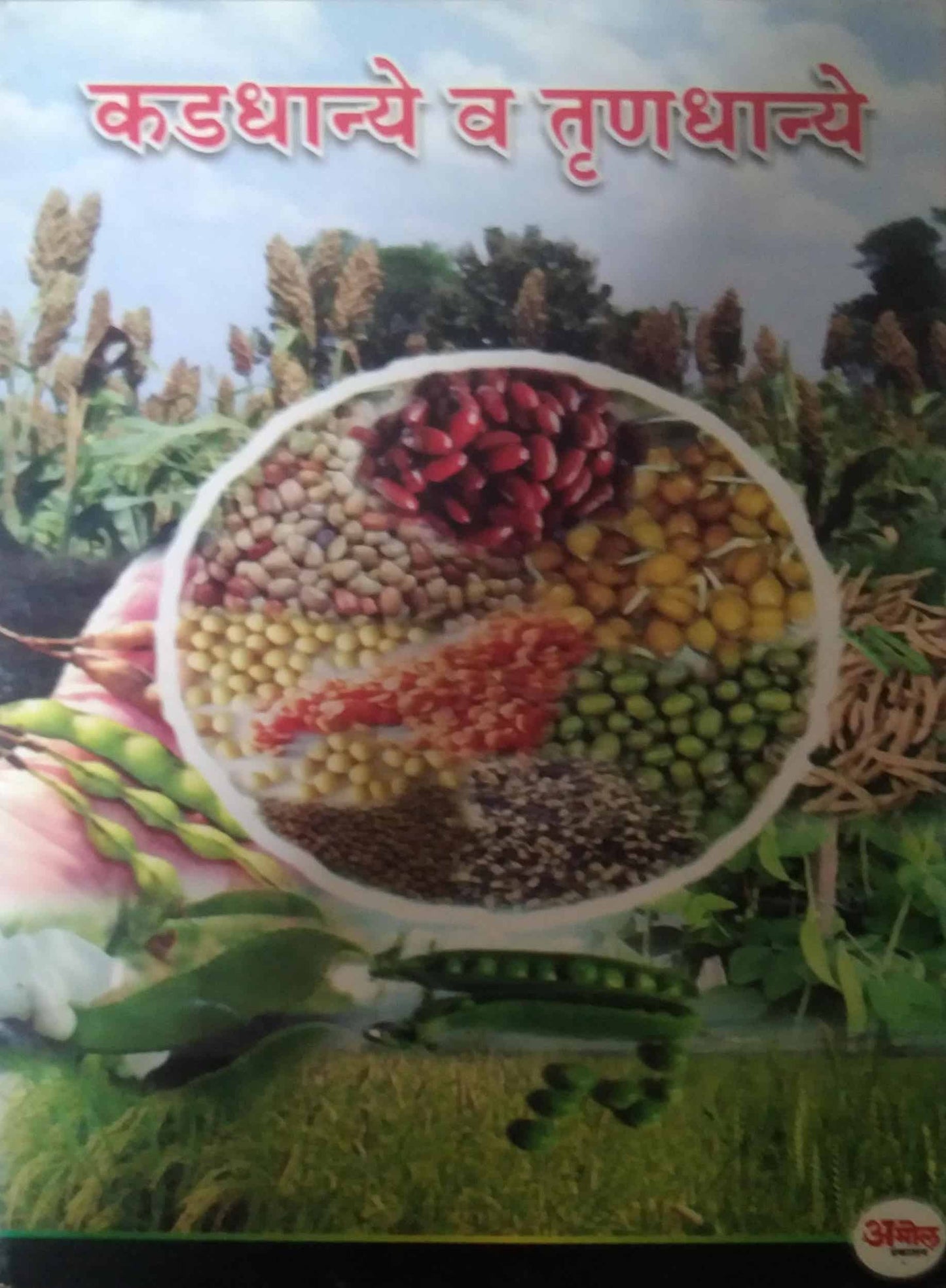 KADADHANYE V TRUNADHANYE  by THAKUR ANJALI